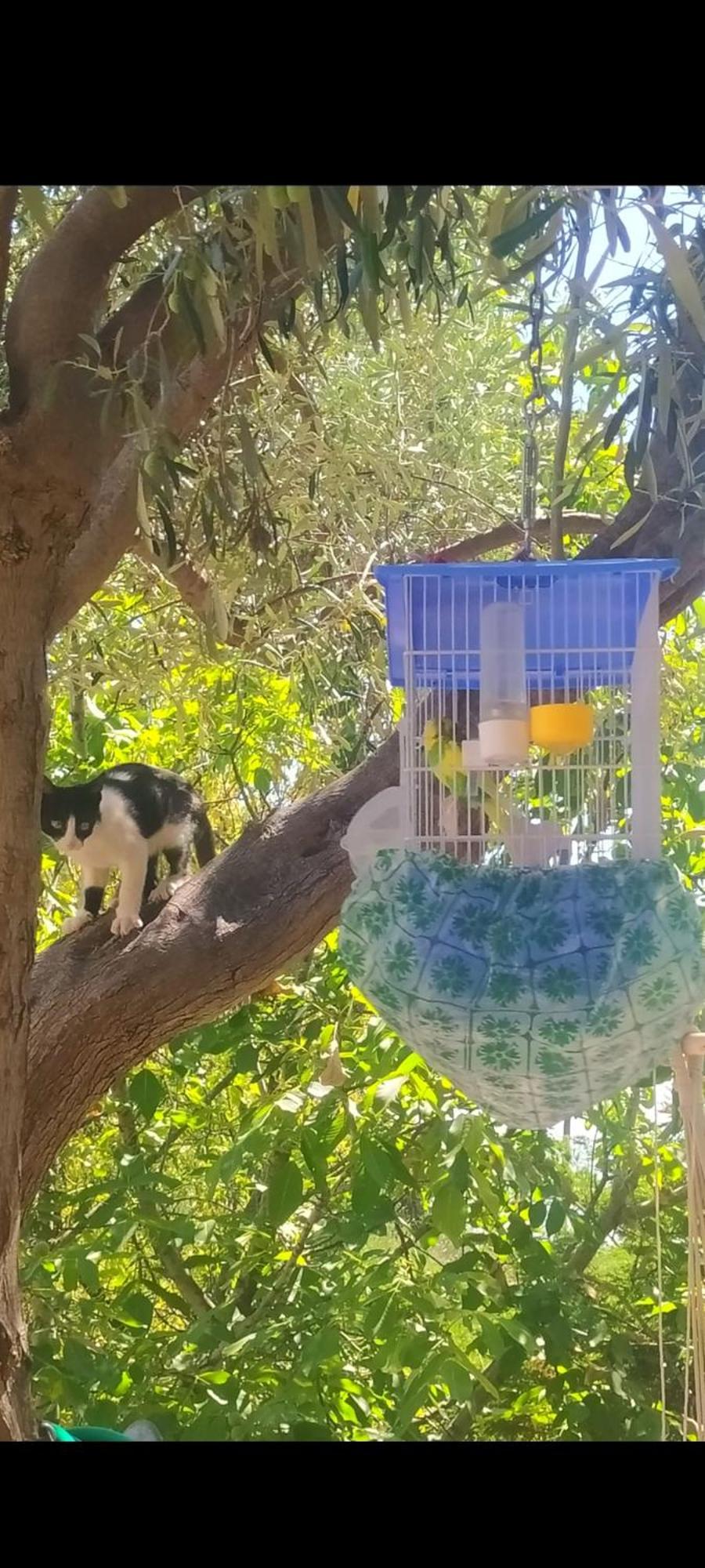 הוילה Loukissia View Διαμερισμα מראה חיצוני תמונה